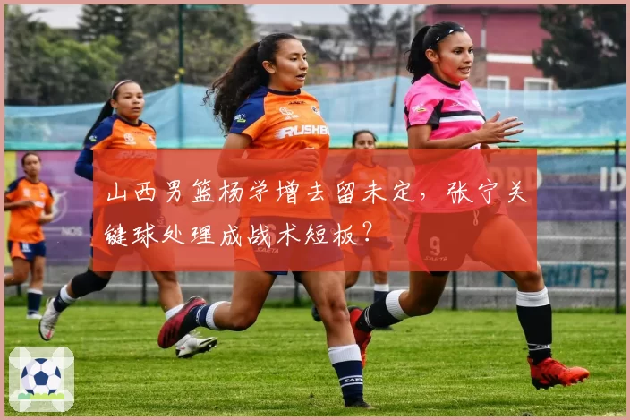 山西男篮杨学增去留未定,张宁关键球处理成战术短板?