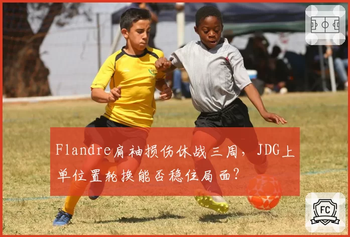 Flandre肩袖损伤休战三周，JDG上单位置轮换能否稳住局面？